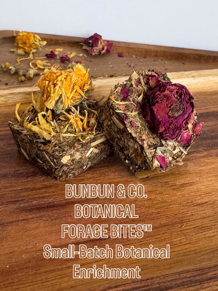 Botanical Forage & Enrichment