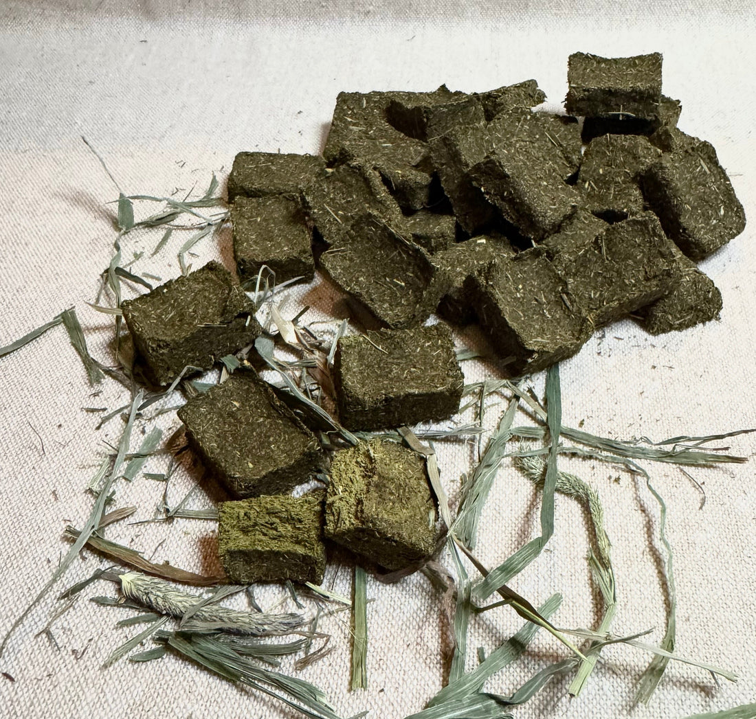 Oat Free Forage & Hay Chews