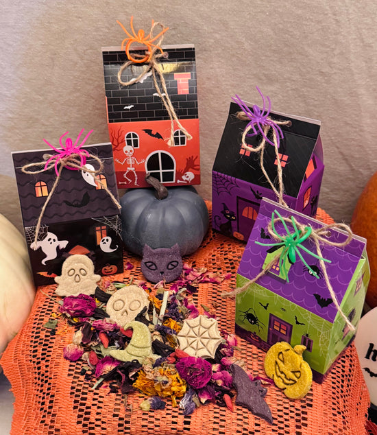 Haunted Halloween Treat House