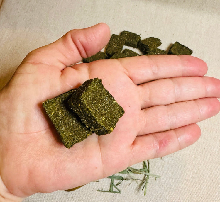 Pear and timothy hay rabbit biscuit resting on a hand to show scale