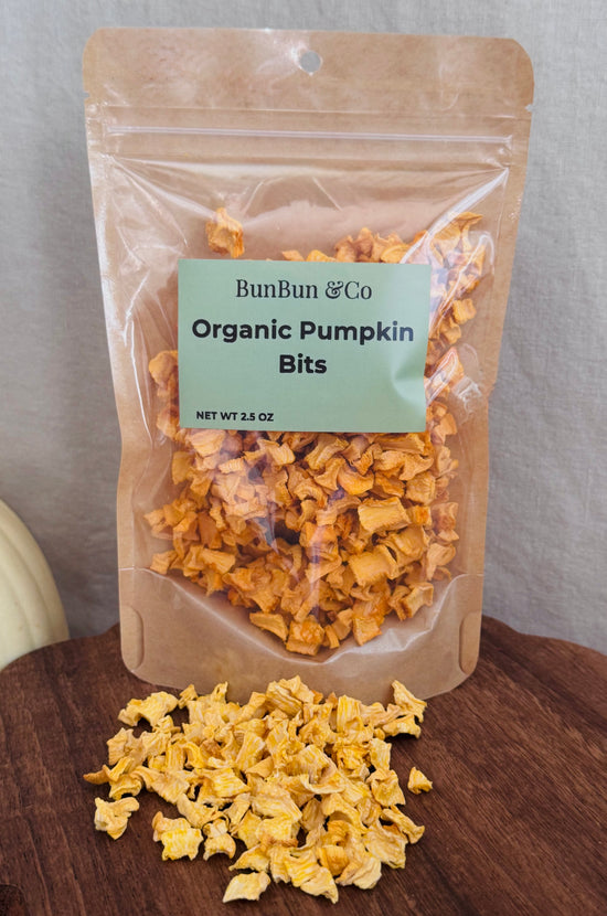 Dehydrated Pumpkin Nibbles
