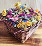 Summer Bloom™ Botanical Forage