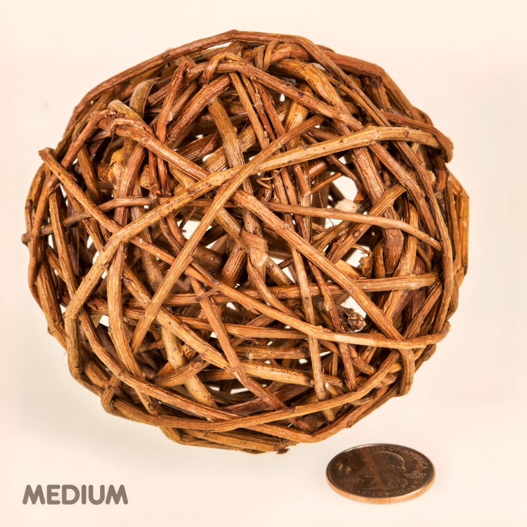 Medium natural willow enrichment chew ball for rabbits with coin beside it for scale