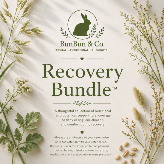 Recovery Bundle™