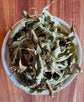 Build Your Own Botanical Herb Forage