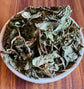 Botanical & Herb Collection™