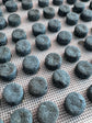 BOTANICAL SKIN & COAT CHEWS
