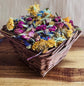 Summer Bloom™ Botanical Forage