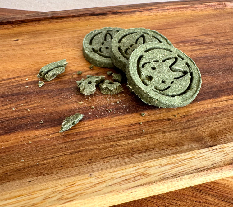 Green apple and parsley rabbit biscuit from BunBun & Co Botanical Urinary Support Blend with crumbs to show texture