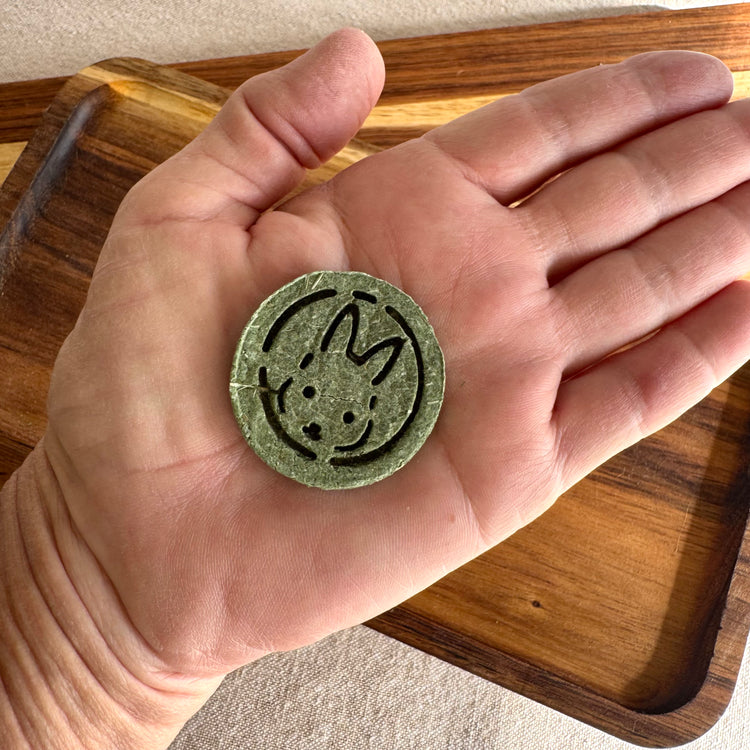 Hand holding Botanical Urinary Support rabbit biscuit with apple and parsley from BunBun & Co to show scale
