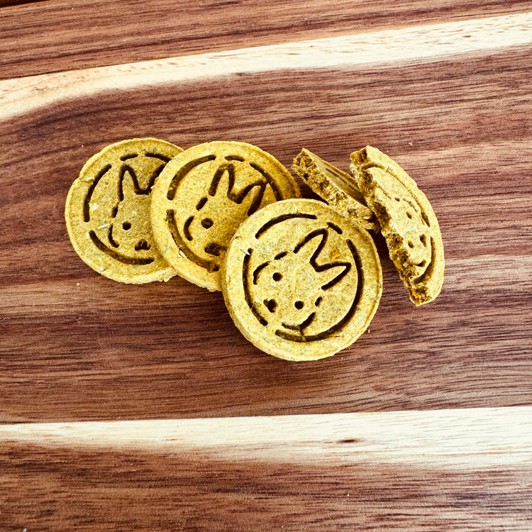 Pumpkin and sage botanical rabbit biscuit from BunBun & Co Cognitive Support Blend with broken biscuit to show texture.
