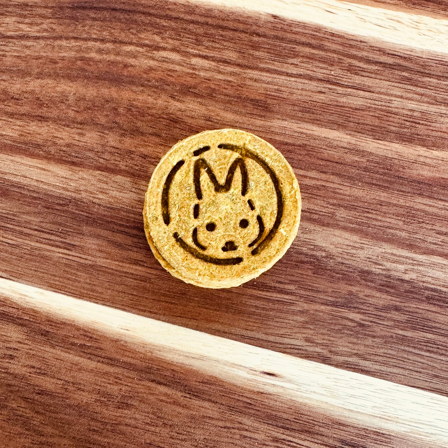 Pumpkin and sage botanical rabbit biscuit from BunBun & Co Cognitive Support Blend
