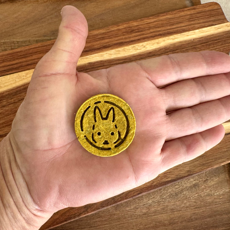 Hand holding Pumpkin and sage botanical rabbit biscuit from BunBun & Co Cognitive Support Blend to show scale
