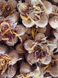 A close up of BunBun & Co. Strawberry Carrot Blossom rabbit treats. 