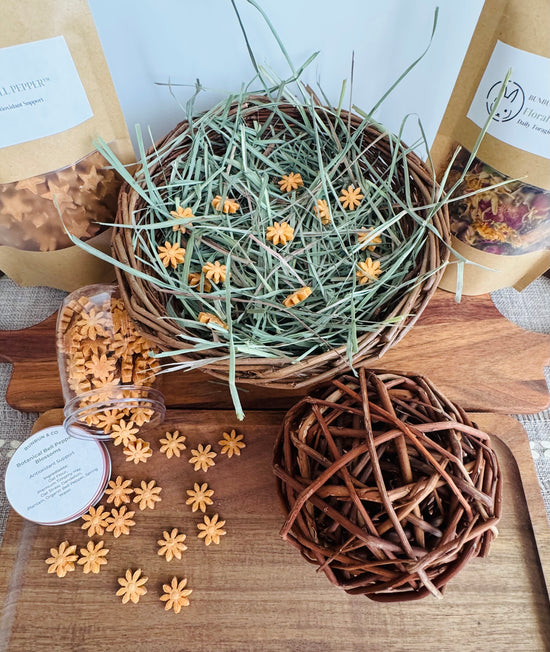 Botanical Garden Bundle™