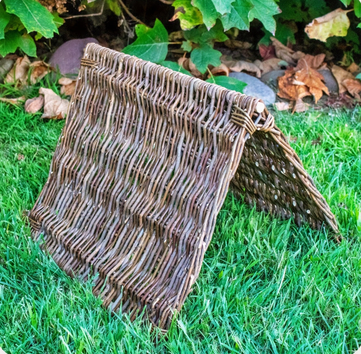 Woven natural willow bunny hide tent placed on green grass with garden foliage background