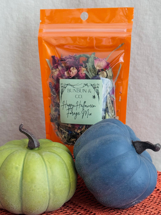 Hoppy Halloween Forage Mix