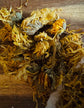 Dried yellow marigold flowers on a wooden surface