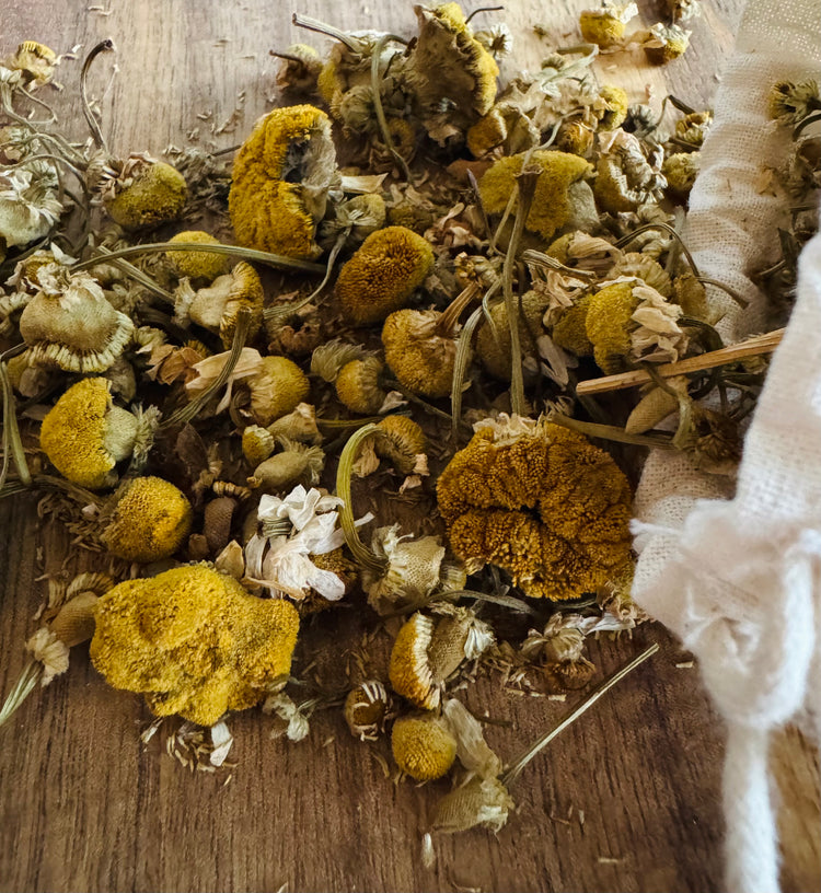  Close up of dried yellow chamomile blossoms on a wooden surface