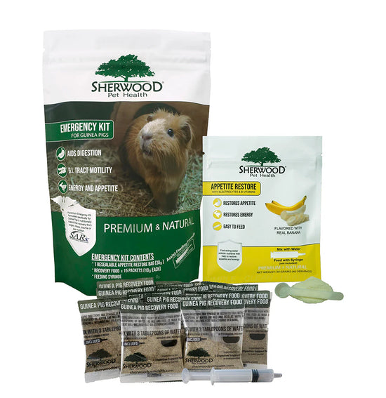 Sherwood Pet Health Emergency Kit for Guinea Pigs – Recovery Support (Small Kit)