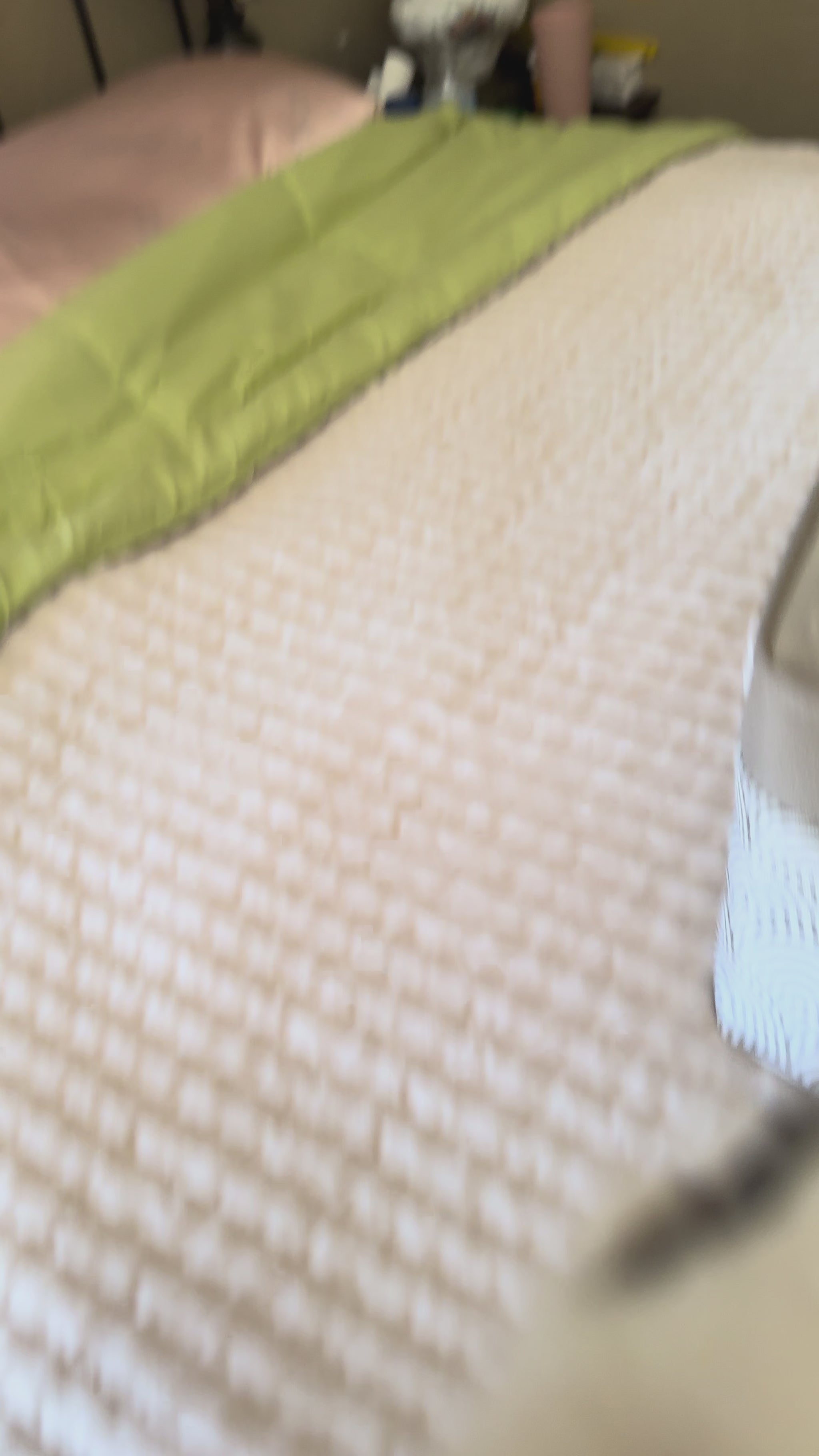 rabbit eating bunbun and co botanical biscuit crunchy rabbit treat
